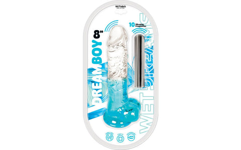 Hott Products Dream Boy 8 Inch USB Rechargeable Dildo