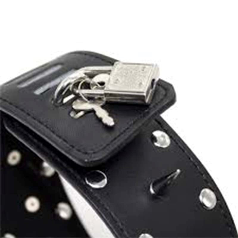 BDStyle Classic Long Spike Collar Heavy BDSM Bondage Collar with Spikes - Fancy Dress Ups