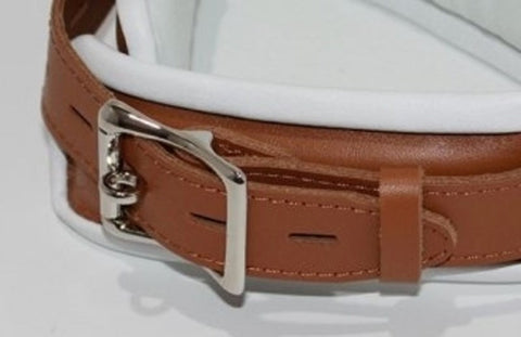 BDStyle Dungeon Delights Asylum Collar Padded Premium BDSM Restraint - Collars and Leads
