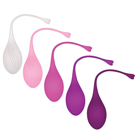 Evolved Empower Your Pelvic Wellness Tight & Delight Kegel Trainer Set - Love Eggs and Kegel Exercisers