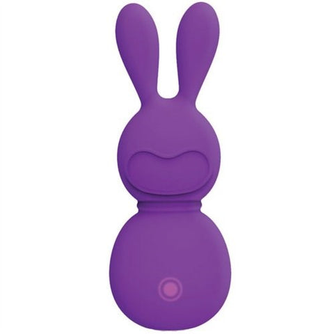 VVOLE LLC FemmeFunn Bunny Vibrator Rechargeable Clitoral Stimulation - Rabbit Vibrators