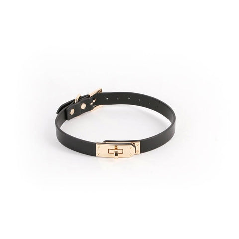 Fetish and Fashion Sadie Collar BDSM Leather Collar with Metal O Ring - Collars and Leads