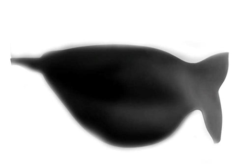 Pipedream Products Fetish Fantasy Elite Double Trouble Silicone Dildo Ring System - Strap On Sextoys