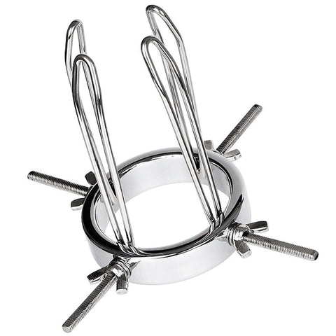 BDStyle Gynaecology Anal Vaginal Giant Adjustable Speculum Medical Steel - Dental and Clinical