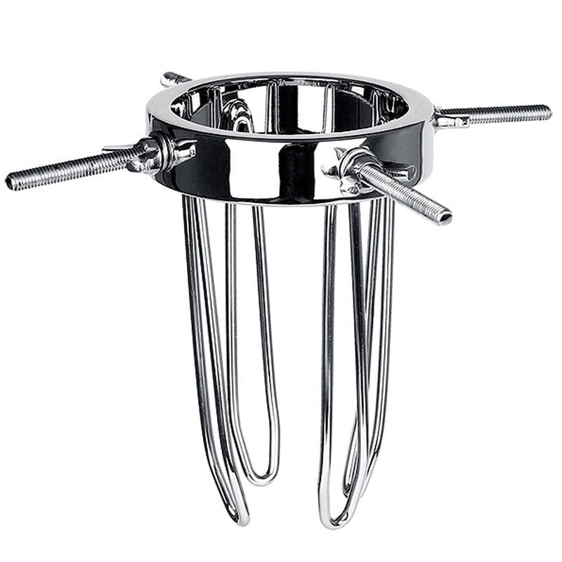 BDStyle Gynaecology Anal Vaginal Giant Adjustable Speculum Medical Steel - - Dental and Clinical