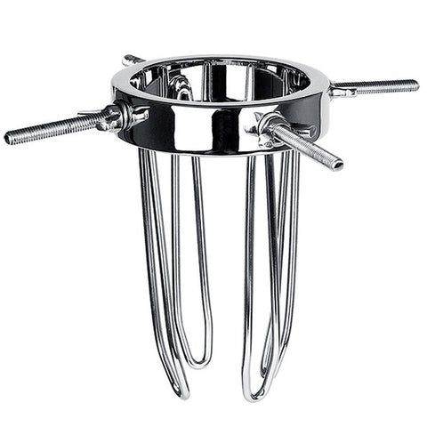 BDStyle Gynaecology Anal Vaginal Giant Adjustable Speculum Medical Steel - Dental and Clinical