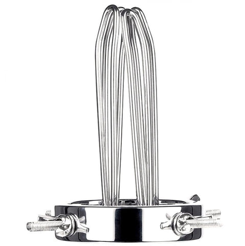 BDStyle Gynaecology Anal Vaginal Giant Adjustable Speculum Medical Steel - Dental and Clinical