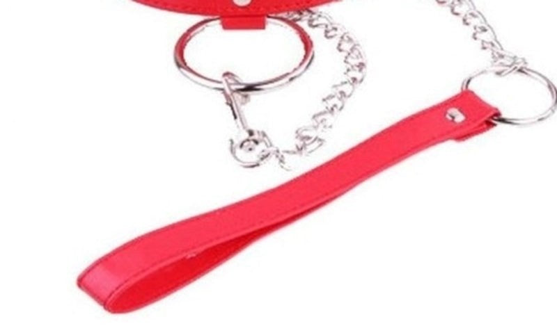 BDStyle Exquisite Bondage Collar Set with Heart Crystal Accents and Lead - Fancy Dress Ups
