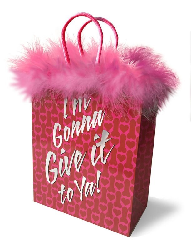 Little Genie Im Gonna Give it To Ya Gift Bag Curated Adult Toy Collection - - Bachelorette and Bucks