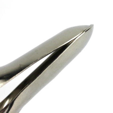 BDStyle Peep Vagina Speculum Medical Grade Stainless Steel - Dental and Clinical