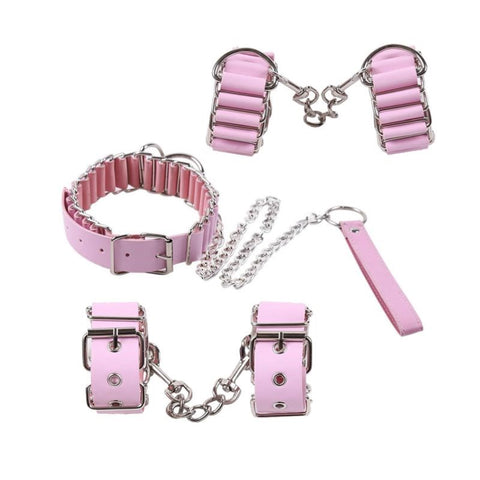 BDStyle Premium Dog Clip Bondage Kit Pink Faux Leather BDSM Set - Bondage Kits