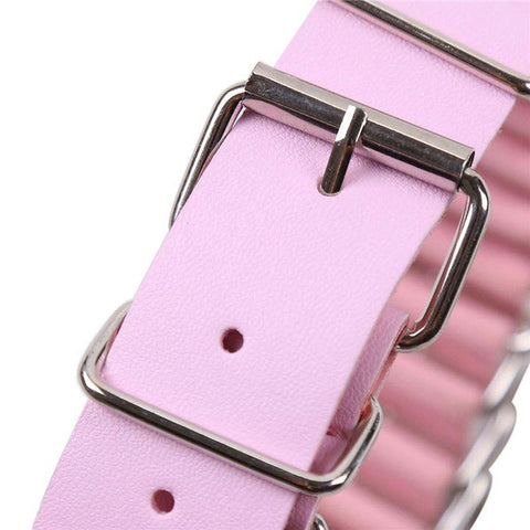 BDStyle Premium Dog Clip Bondage Kit Pink Faux Leather BDSM Set - Bondage Kits