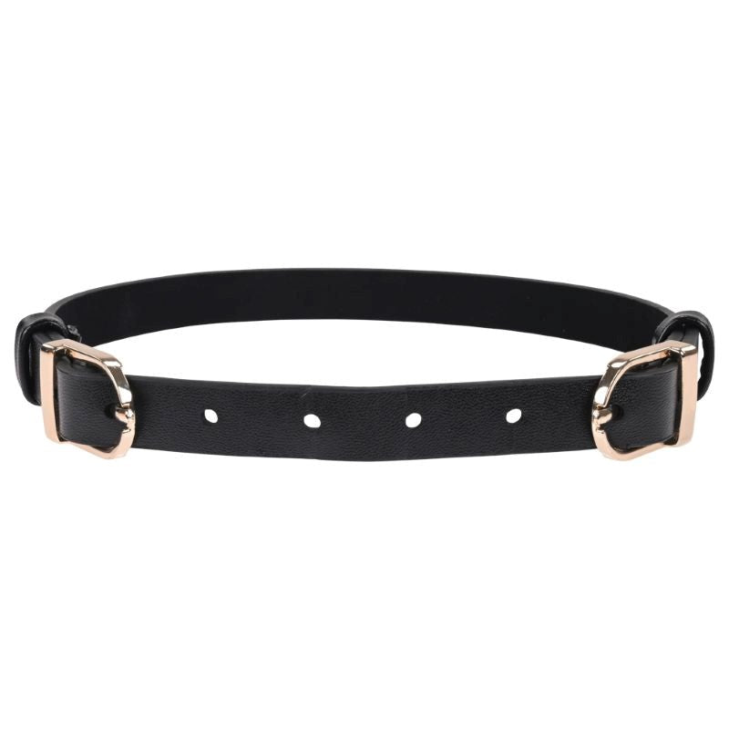 Sportsheets S&M Double Buckle Day Collar Discreet BDSM Symbol - Collars and Leads