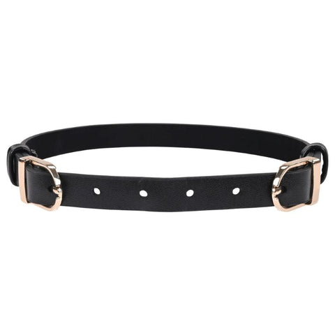 Sportsheets S&M Double Buckle Day Collar Discreet BDSM Symbol - Collars and Leads