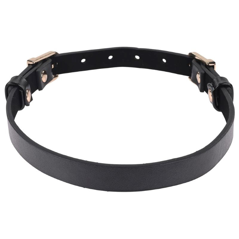 Sportsheets S&M Double Buckle Day Collar Discreet BDSM Symbol - Collars and Leads