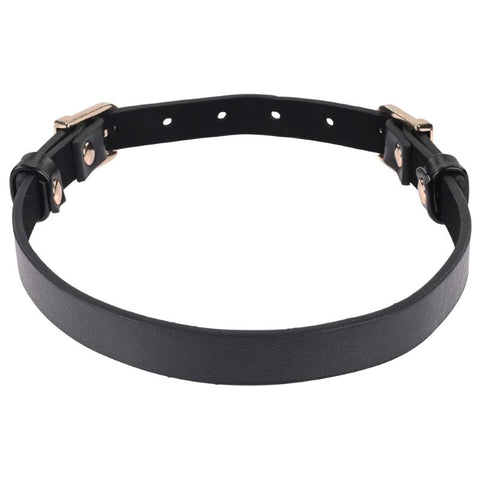 Sportsheets S&M Double Buckle Day Collar Discreet BDSM Symbol - Collars and Leads