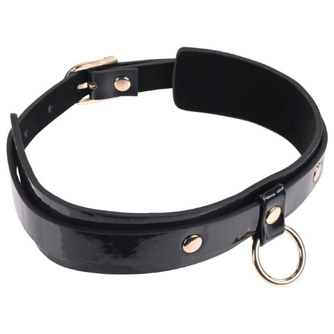 Sportsheets Celestial Journey into Luxury BDSM S&M Orbit Day Collar - Collars and Leads