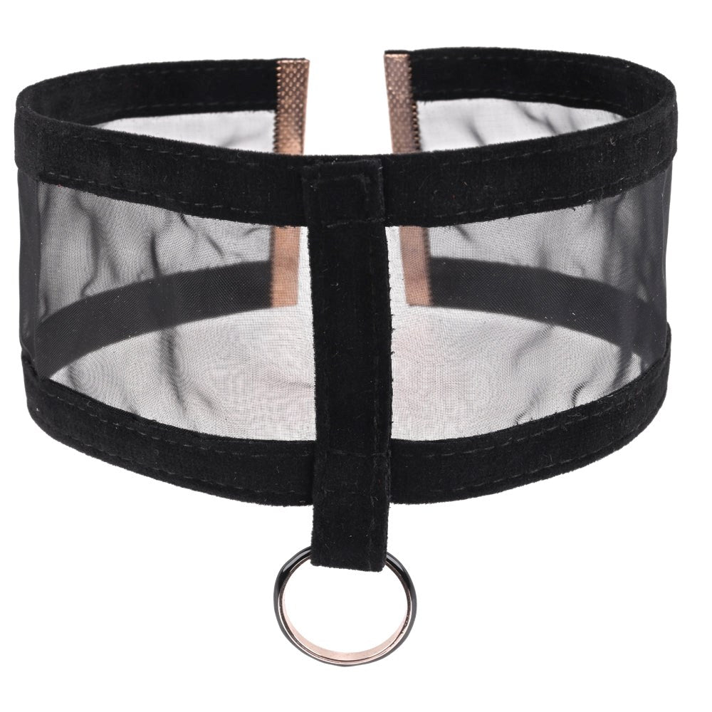 Sportsheets Luxurious S&M Sheer Day Collar Discreet Sensual Wear - Her Fetish