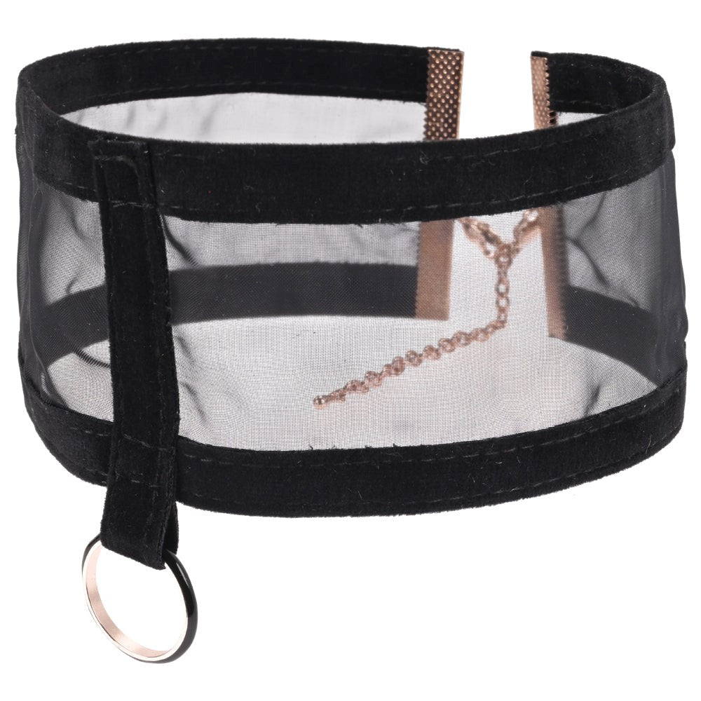 Sportsheets Luxurious S&M Sheer Day Collar Discreet Sensual Wear - Her Fetish