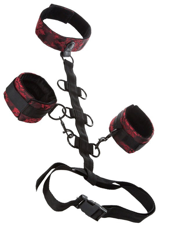 California Exotics Scandal Collar Body Restraint with Six D Rings - Cuffs and Restraints