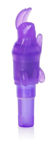 California Exotics Shanes World Pocket Party Bunny Vibrator - Masturbators and Strokers