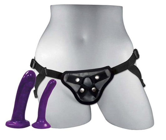 Sportsheets Anal Explorer Sex Toy Kit with Adjustable Harness System - - Strap On Sextoys