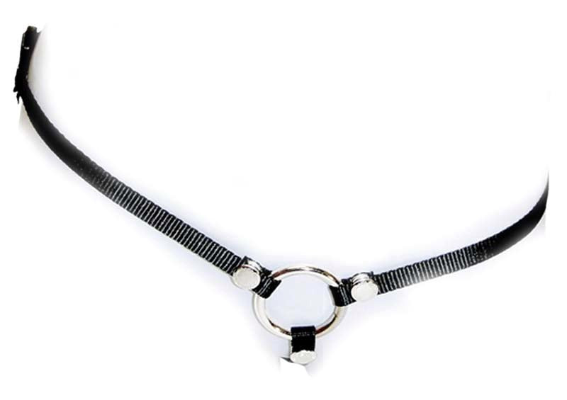 Sportsheets Bare As You Dare Strap On with Adjustable Thong Design - - Strap On Sextoys