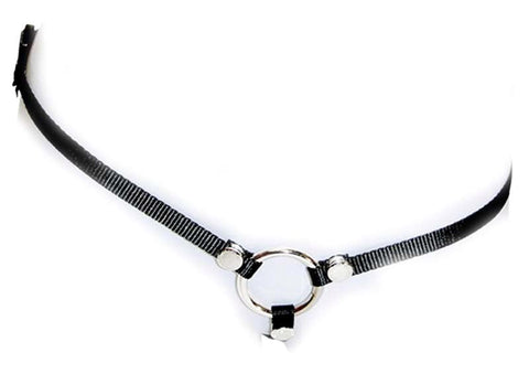 Sportsheets Bare As You Dare Strap On with Adjustable Thong Design - Strap On Sextoys