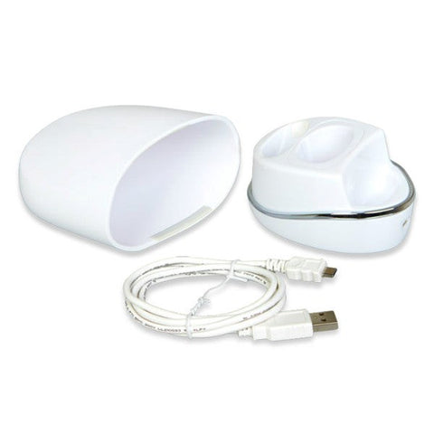 We Vibe 4 Plus Carrying Case Charger Storage - Vibrator Accessories