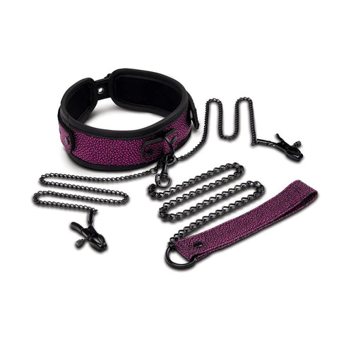 Xgen Products WhipSmart Dragons Lair Collar Leash & Nipple Clips BDSM Set - Breast and Nipple Toys