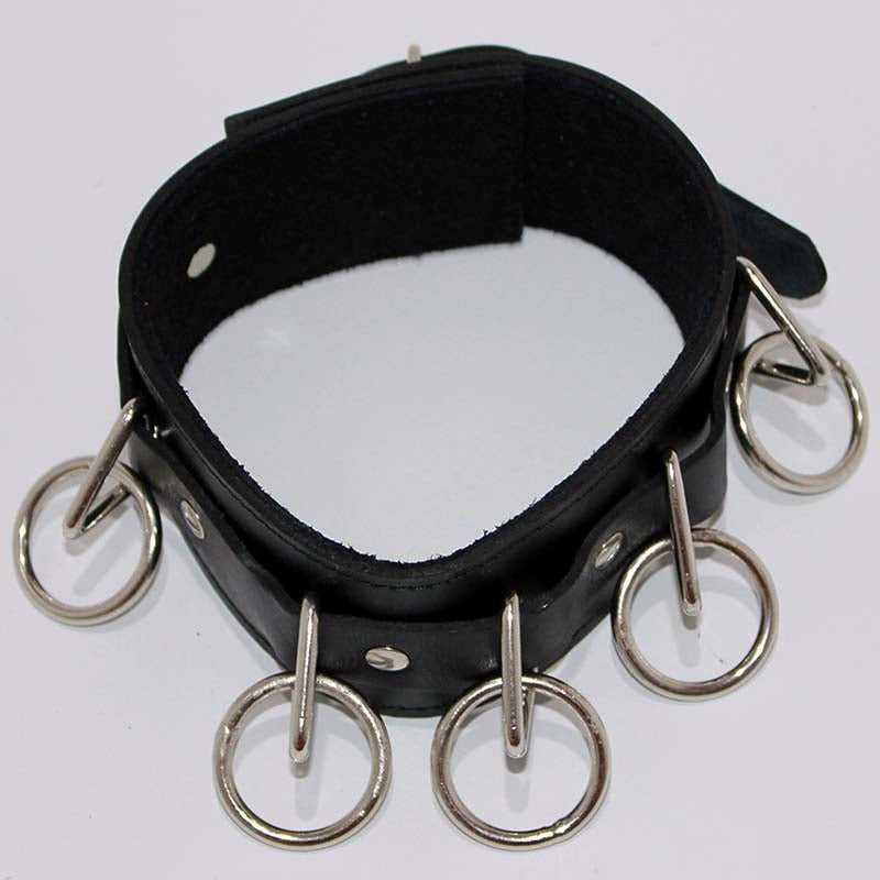 BDStyle Wild Cat BDSM Pleasure Control Collar Lead Ensemble with O Rings - Collars and Leads