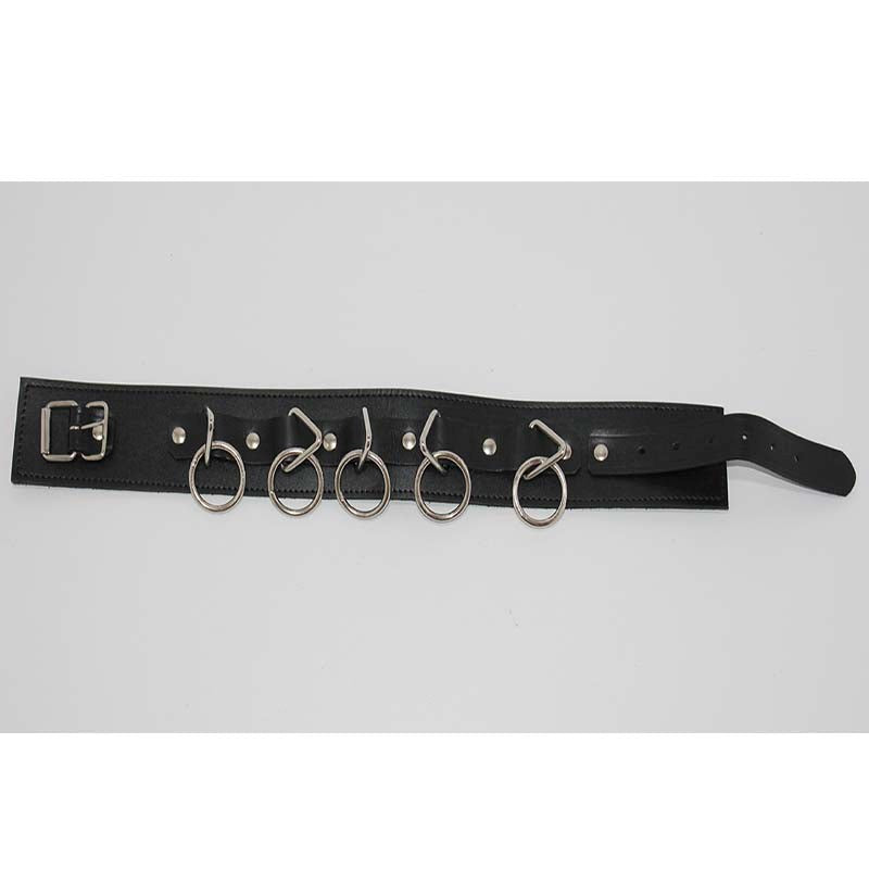 BDStyle Wild Cat BDSM Pleasure Control Collar Lead Ensemble with O Rings - Collars and Leads