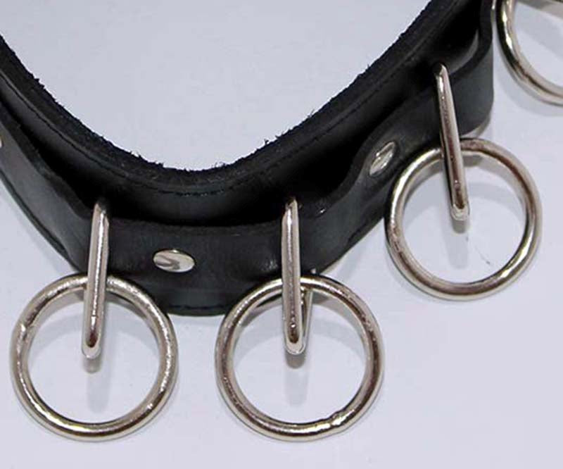 BDStyle Wild Cat BDSM Pleasure Control Collar Lead Ensemble with O Rings - Collars and Leads