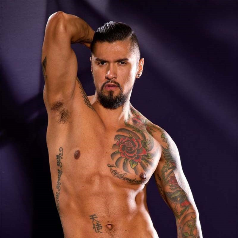 Falcon Toys Falcon Super Cock Boomer Banks Vibrating Dildo with Suction Cup - - Realistic Dildos