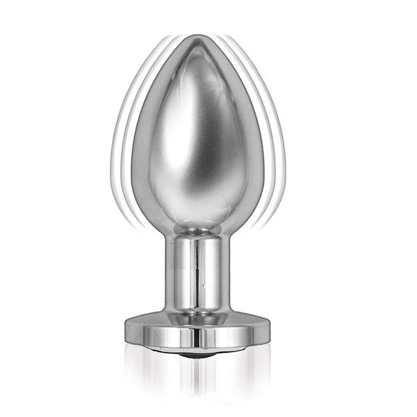 ASS-SATION 10 Function Remote Vibrating Metal Plug - - Butt Plugs