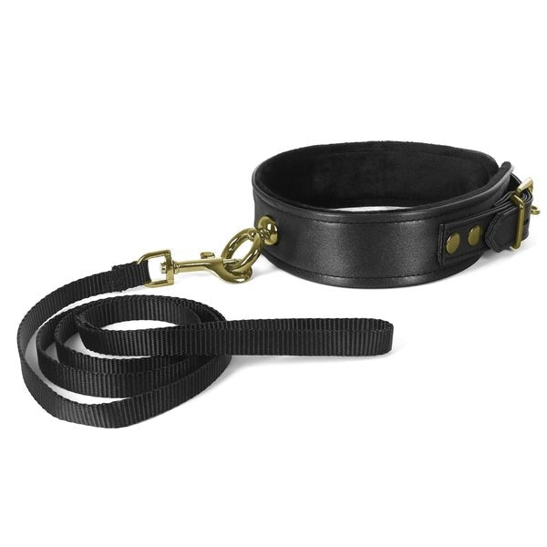 Galaxy Legend Collar and Leash With Soft Lining - - Collars and Leads