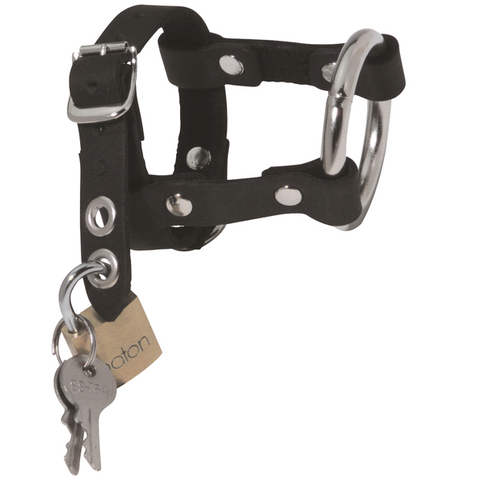 Spartacus Enterprises Locking Leather & Steel Chastity Harness with Padlock - Male Chastity