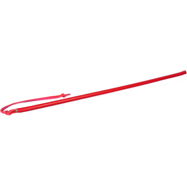 SPARTACUS Leather Wrapped Cane 24inch - - Whips And Crops
