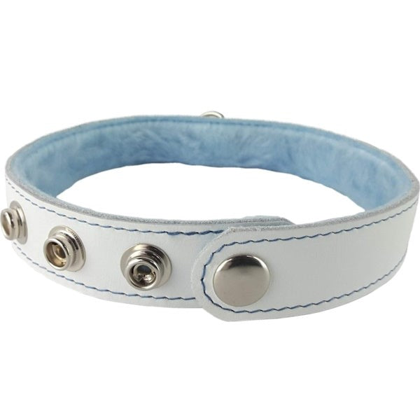 SPARTACUS White Leather Collar with Blue Gems & Lining - - Collars and Leads