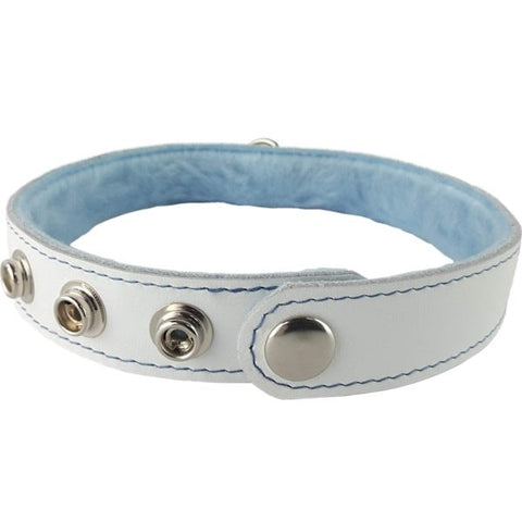 Spartacus Premium Blue Fur Lined Leather Collar with Adjustable D Ring - Collars and Leads