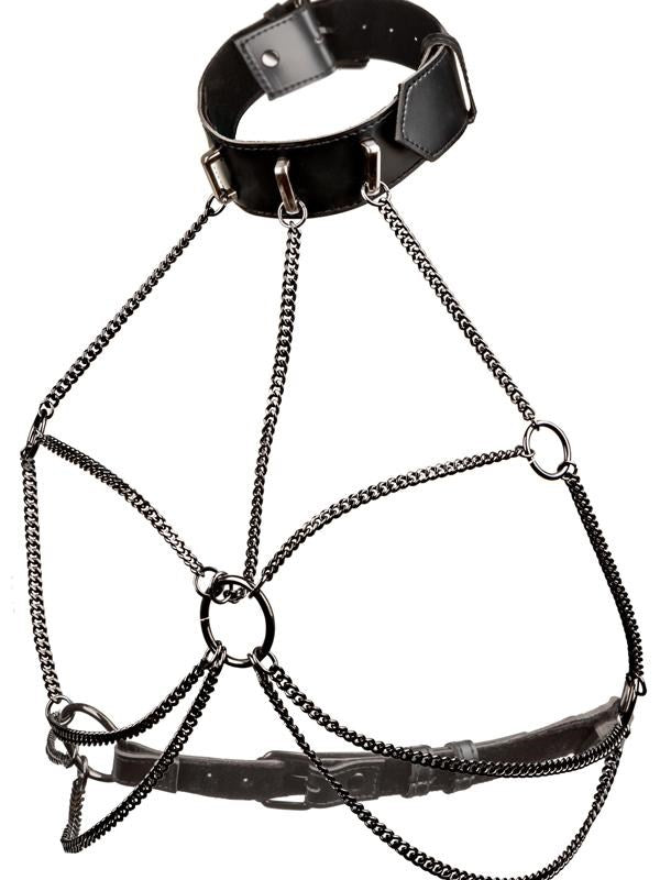 California Exotics Euphoria Collection Multi Chain Fetish Collar Harness - - Collars and Leads