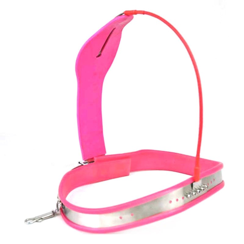 BDStyle Medium Curve T Premium Female Chastity Belt with Locking Cover - - Female Chastity