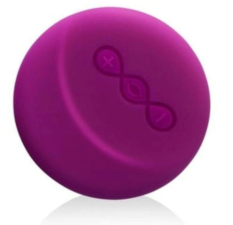 Lelo Insignia Remote Control Wireless Controller SenseMotion Technology - Body Wands