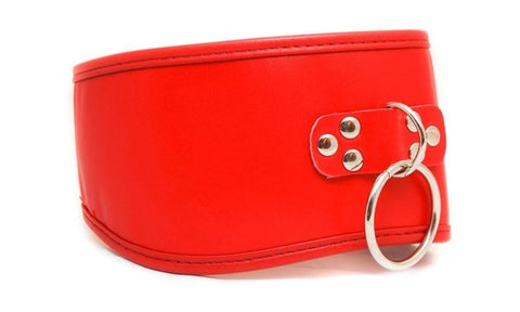 BDStyle Kitty Play Posture Collar Premium BDSM Restraint with O Ring - Fancy Dress Ups