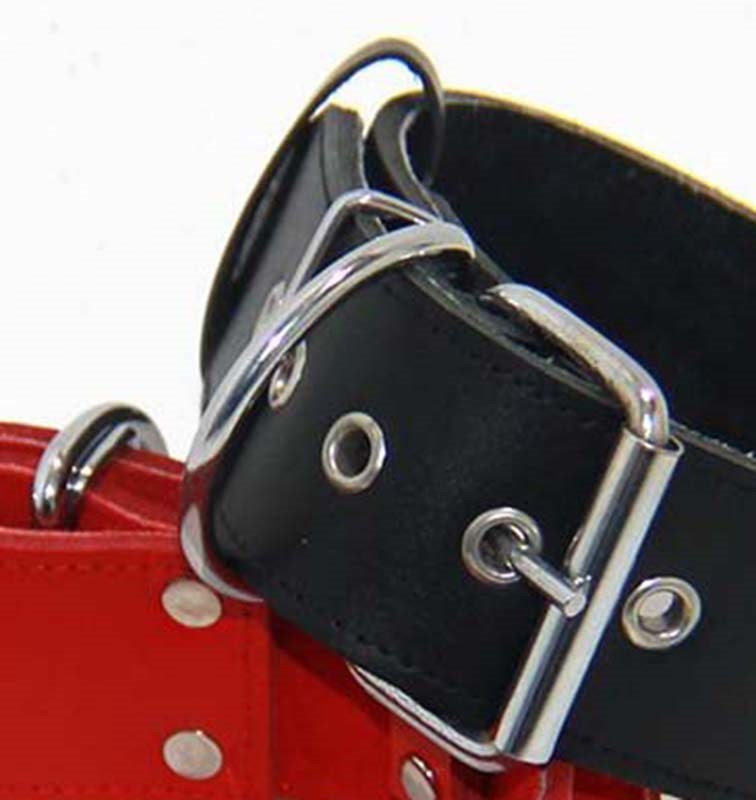 Hells Couture Pigs Leather BDSM Collar Red Leather with Silver Studs - - Collars and Leads