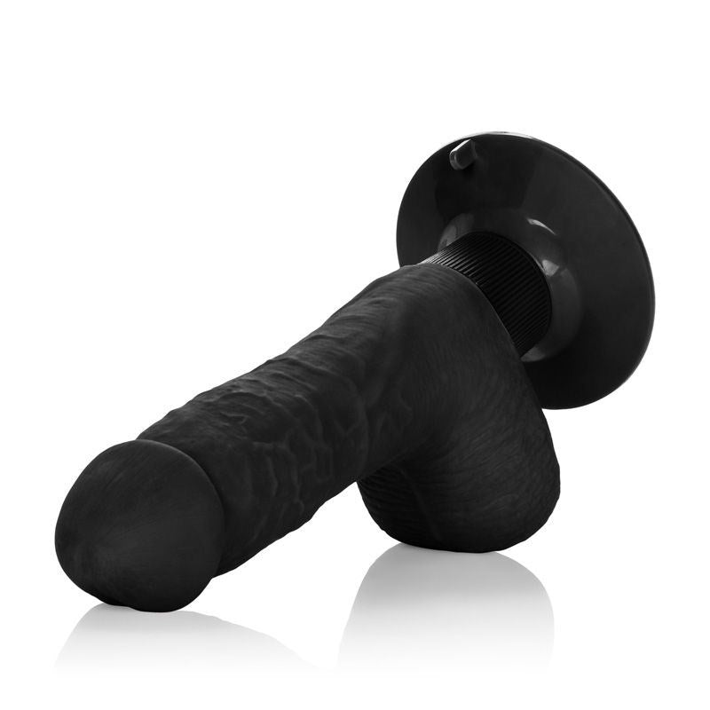 California Exotics Shower Stud Ballsy Dong with Multi Speed Vibration - Personal Massagers