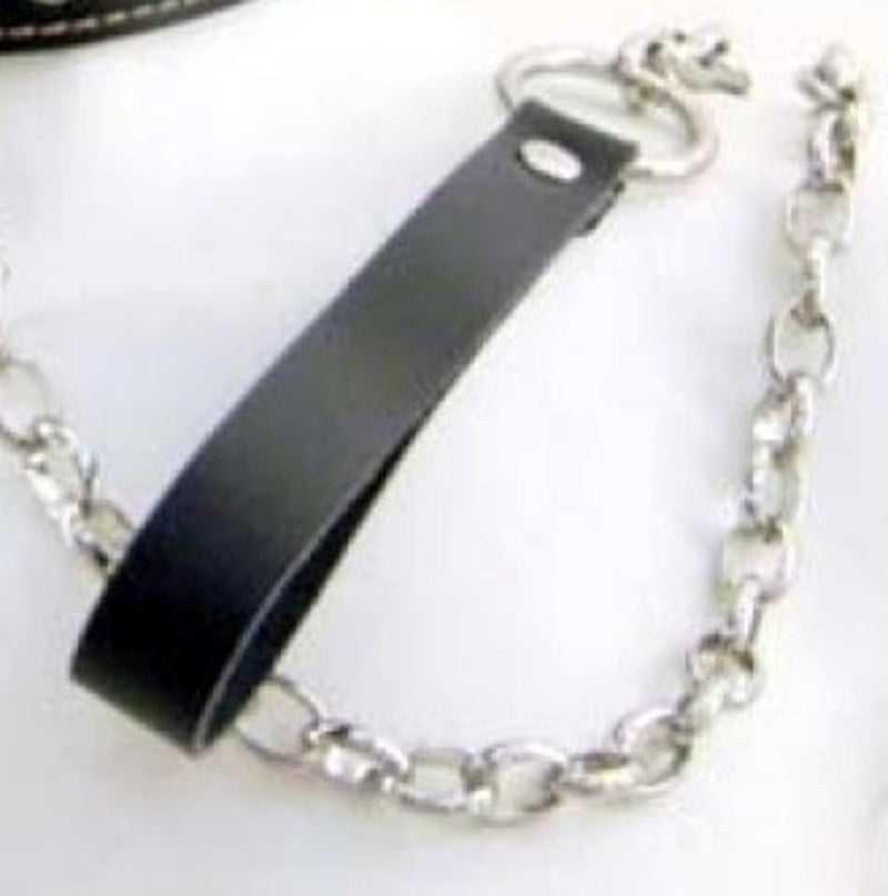 BDStyle Evil Bondage Spiked Leather Collar with Lead BDSM Domination Set - Collars and Leads