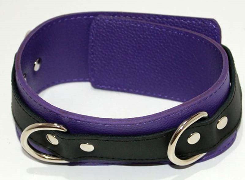 BDStyle Purple Pleasures BDSM Collar with Studs O Rings Premium Leather - Collars and Leads