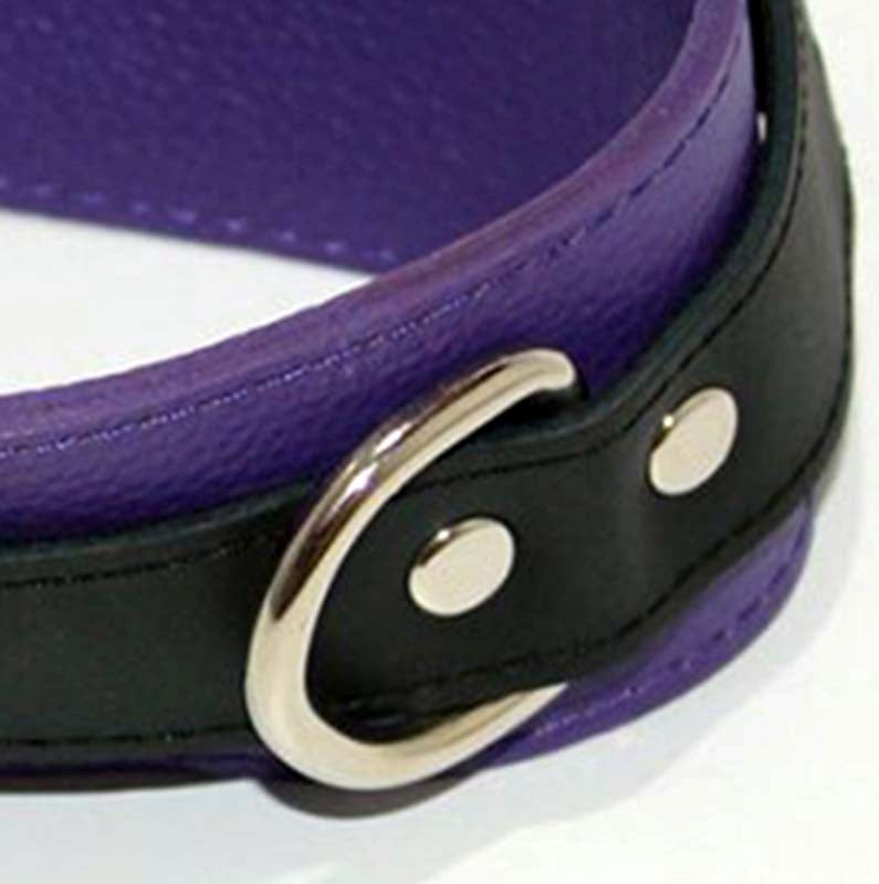 BDStyle Purple Pleasures BDSM Collar with Studs O Rings Premium Leather - Collars and Leads