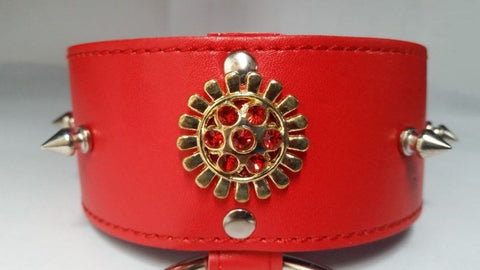 BDStyle Red Medallion Spiked Collar & Leash with Spiked Design - Collars and Leads